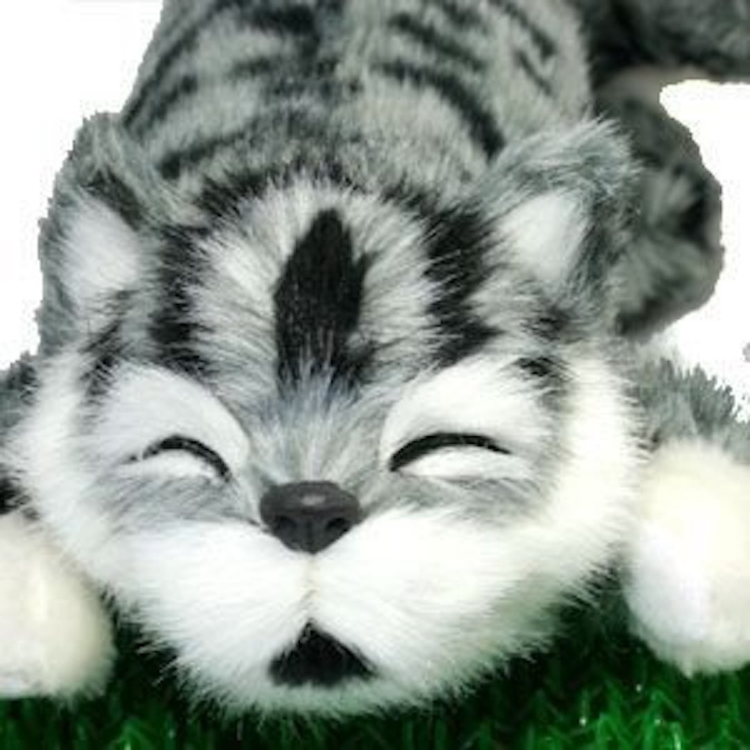 新品未使用　White Cat　袖付　ワンピース　灰色　グレー　猫　薔薇　七分丈 新品未使用 White Cat 袖付 ワンピース 灰色 グレー 猫 薔薇 七分丈